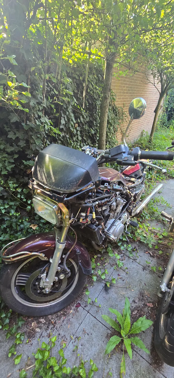 A weathered motorcycle among vegetation awaiting assessment