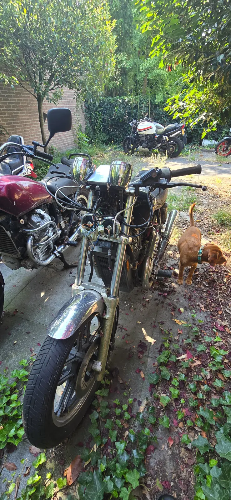 Front view of donor motorcycles stored outdoors